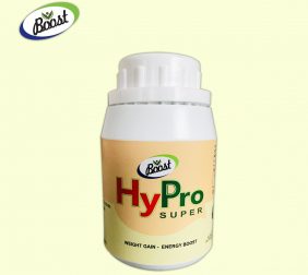 HYPRO SUPER- Weight Gain Natural Capsules for Men and Women-Power Health Soya vegan - 500mg - 120 CAPSULES