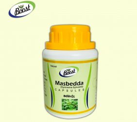 Masbedda Gymnema Sylvestre- 100% Natural -Sugar Controller - Diabetic - MASBEDDA CAPSULE - 250 mg - 90 CAPSULES