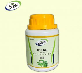 Natural Insulin Plant Thebu - Costus speciosus- 100% Natural -Regulating Blood sugar Level - THEBU CAPSULE - 250 mg - 90 CAPSULES